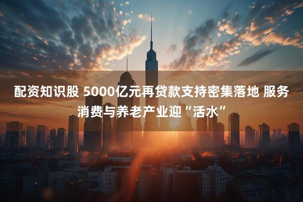 配资知识股 5000亿元再贷款支持密集落地 服务消费与养老产业迎“活水”
