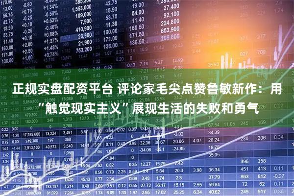 正规实盘配资平台 评论家毛尖点赞鲁敏新作：用“触觉现实主义”展现生活的失败和勇气
